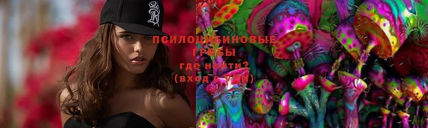 ГАЛЛЮЦИНОГЕННЫЕ ГРИБЫ Нефтегорск