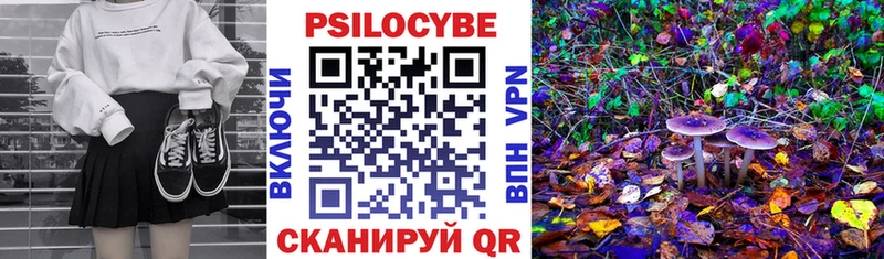 как найти закладки  Скопин  mega зеркало  Галлюциногенные грибы Magic Shrooms 